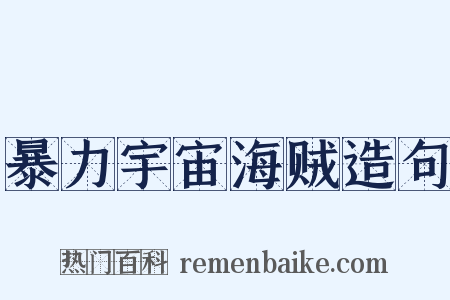 暴力宇宙海贼造句是什么意思的图片
